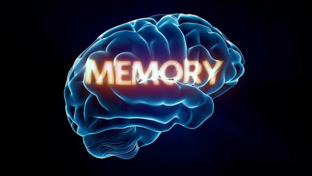 Memory Xray Brain